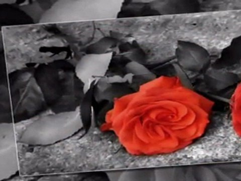 ''Deniz Seki Hüsnü Ş. ♥..Ben unuttum desemde yerin hala dolmuyor!!!