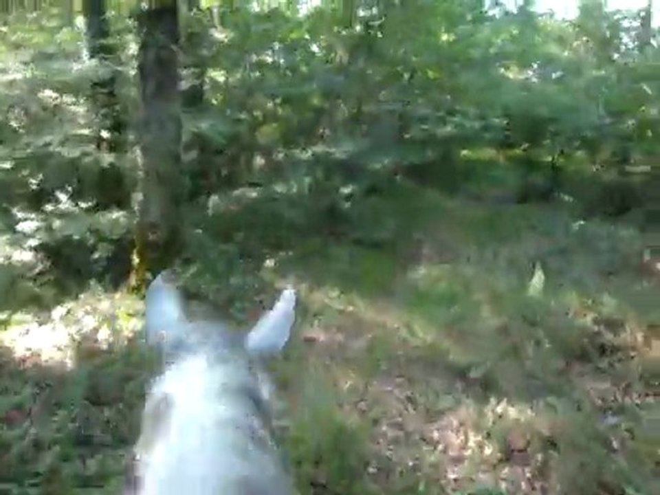 Viela balade 18 mai 2011 1