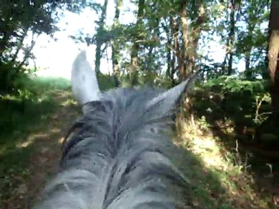 Viela balade 18 mai 2011 3