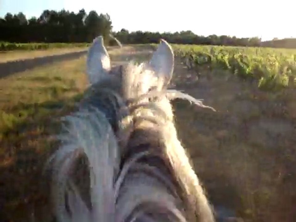 Viela balade 18 mai 2011 5