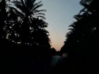 Tolga Algerie12 جولة في طولقة