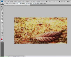 Tutorial Efecto Orton - Photoshop -  Sakafotos