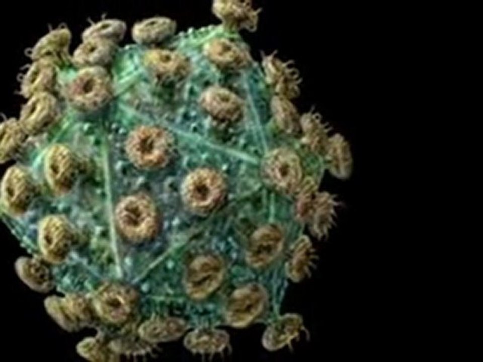 Denying AIDS  Responsible Journalism in the Era of Genocide Denial