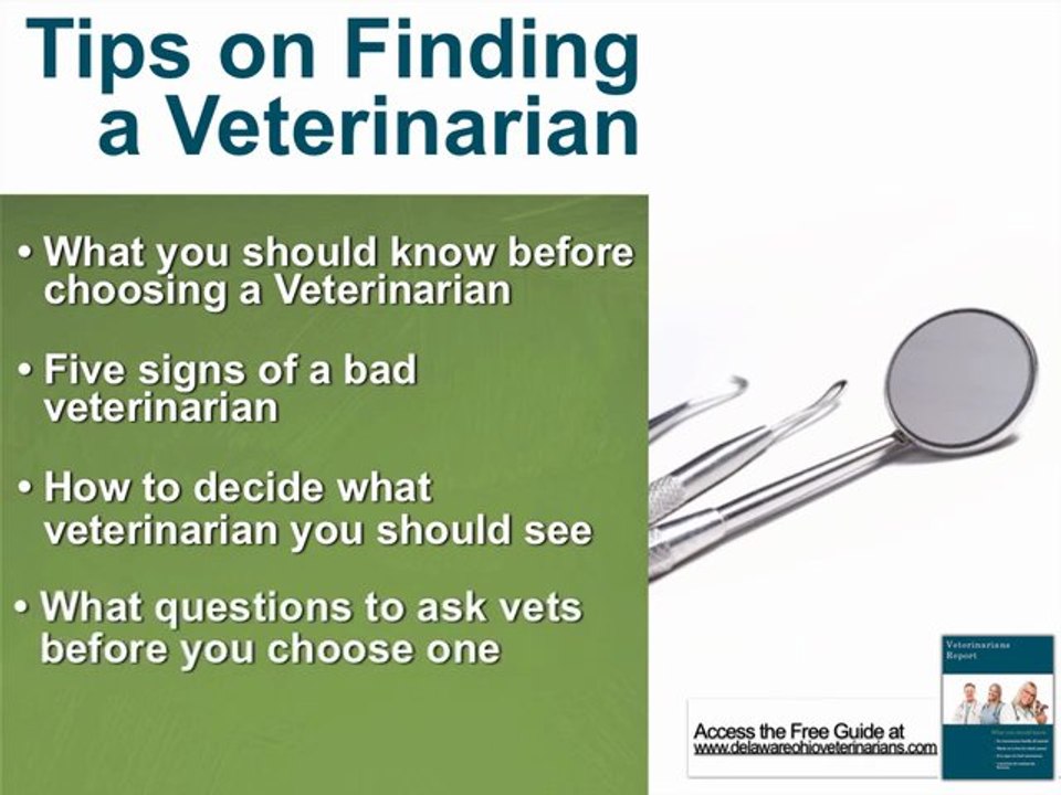 Delaware ohio veterinarians or delaware ohio vets
