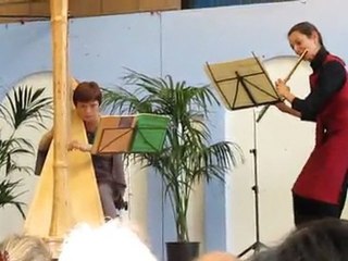 concert harpe et flûte pour l'Unafam 93