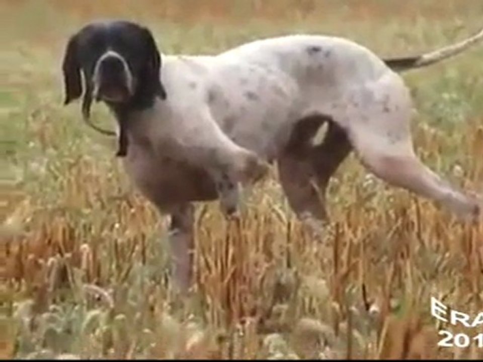 Ferma
