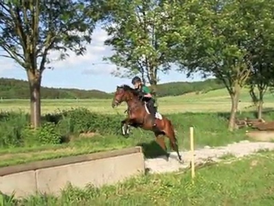 Military Horseback Riding