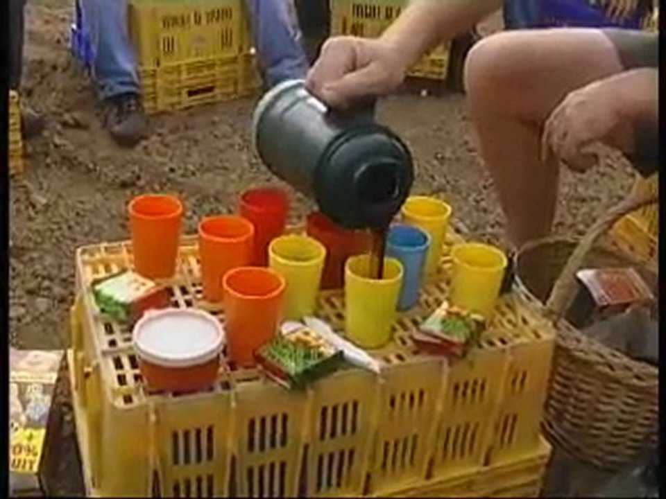 La récolte de salade