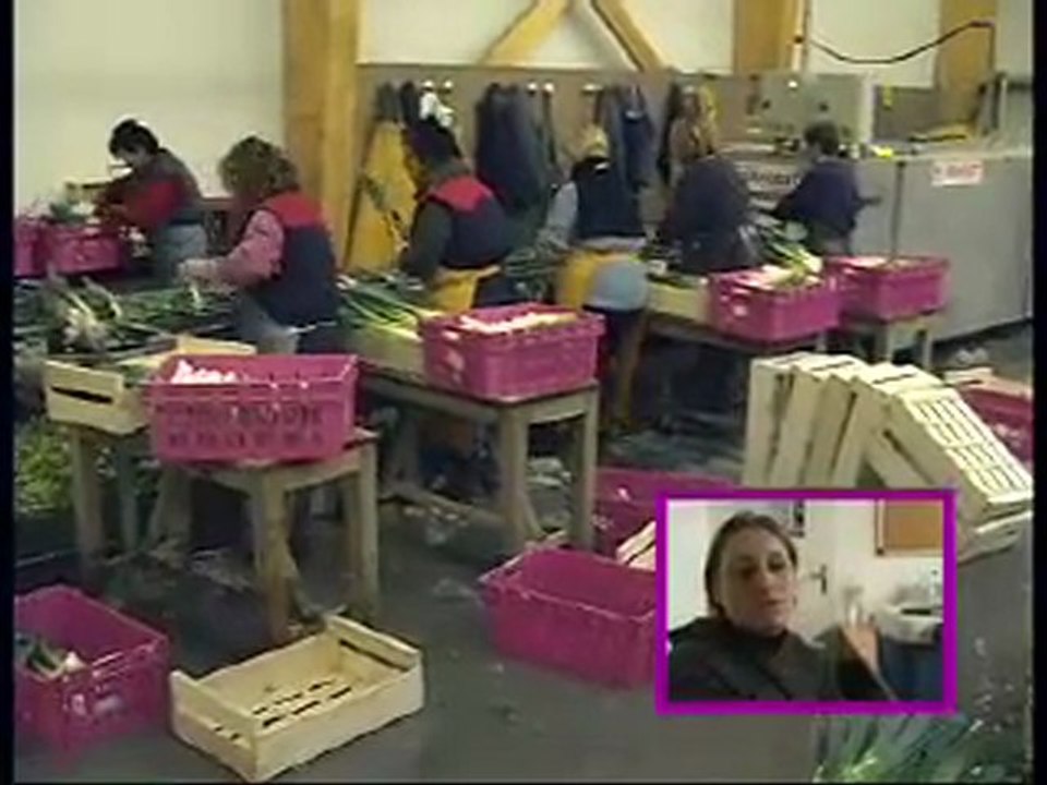 Atelier lavage poireau. Palettisation et mise en remorque