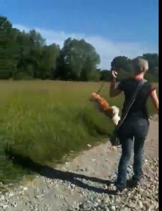 Tsankha et les foins