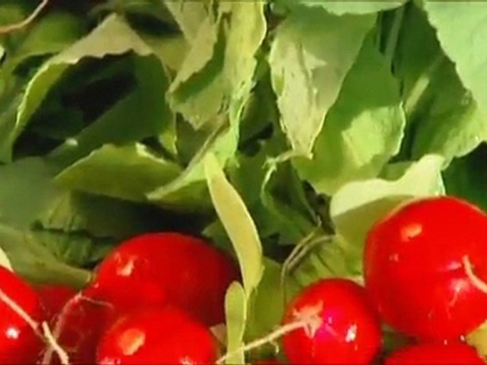 Le soin idéal pour un jardin protégé tout l’hiver - DCM