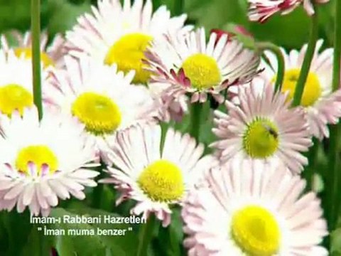 İman nûra benzer (İmam-ı Rabbani hazretleri) Kuddise Sirruh