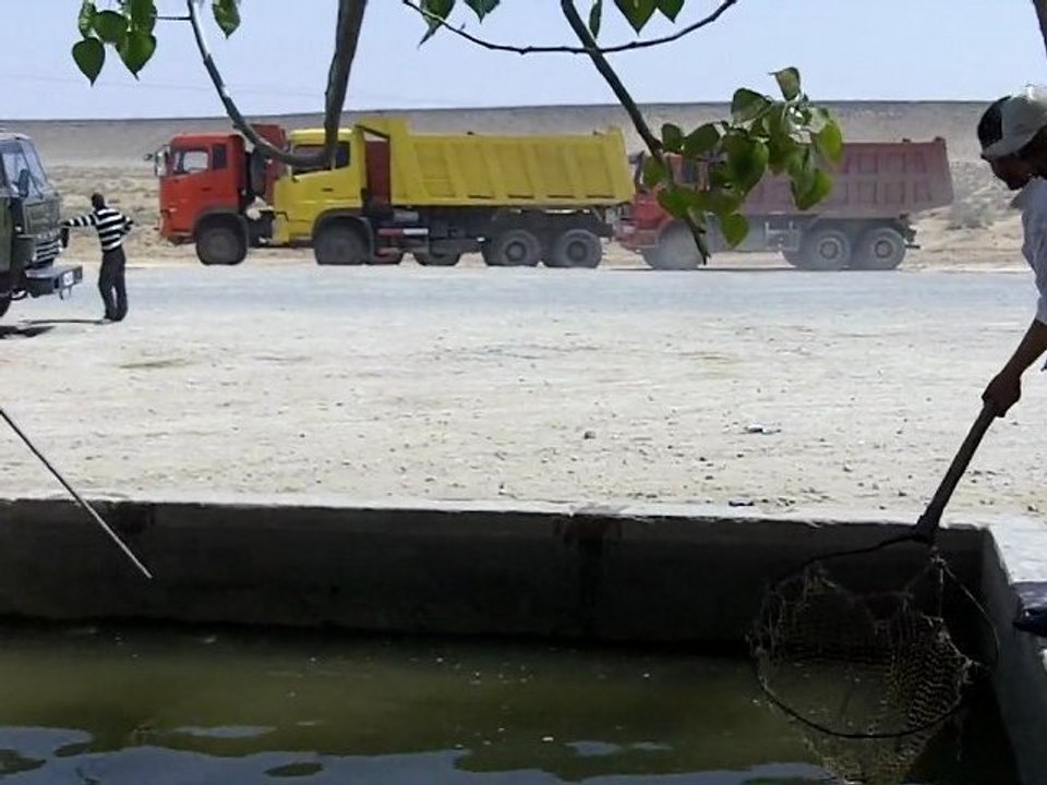 pêche