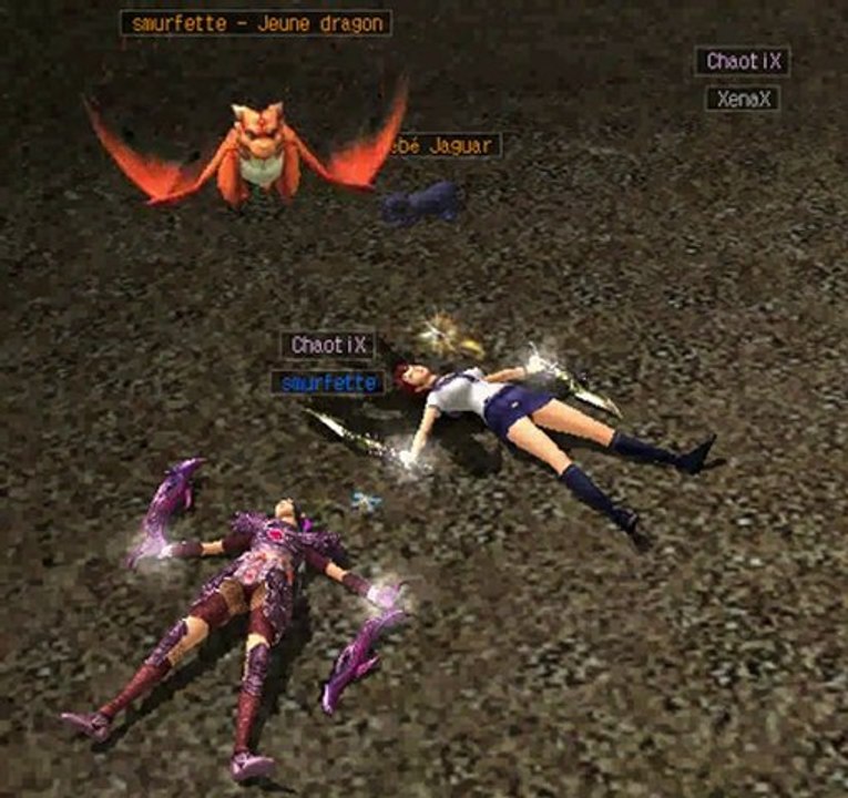 pet