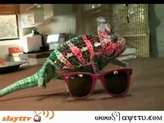 Bukalemun Nasıl Renk Değiştirir