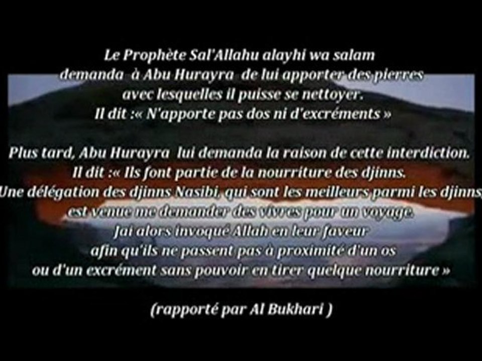 [2/5]_Le Monde des Djinns