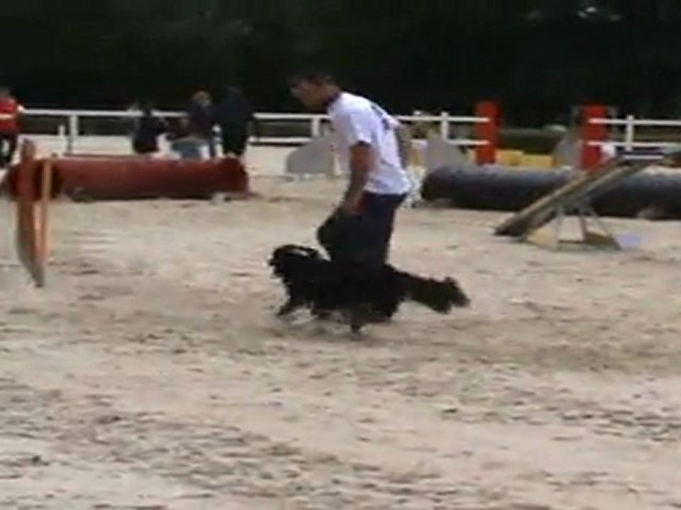 agility
