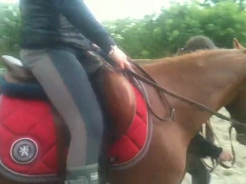 19/05/11 : Première fois monté pour Turf