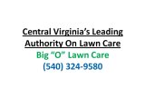 Lawn Care Company Charlottesville VA|Weeds and Dandelions