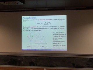 Choisir une surface au hasard : la limite d'échelle des cartes planaires - Grégory Miermont