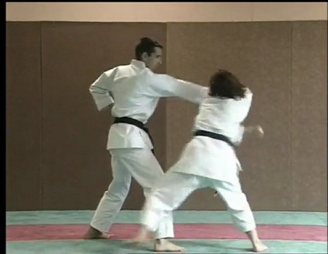 Tai jitsu do - Techniques