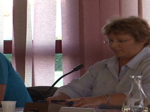 1. Plan de mise en accessibilité de la voirie et espaces publics