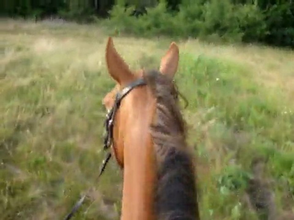 Viela + Shan en balade