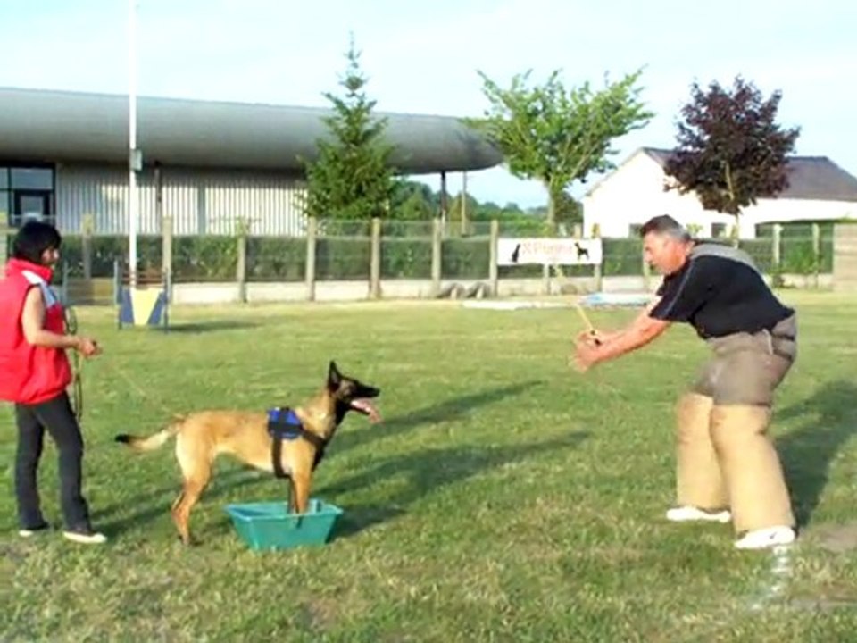 valise FIDJI 2  9 mois