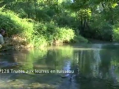 Pêche a la truite en ruisseau pour débutant