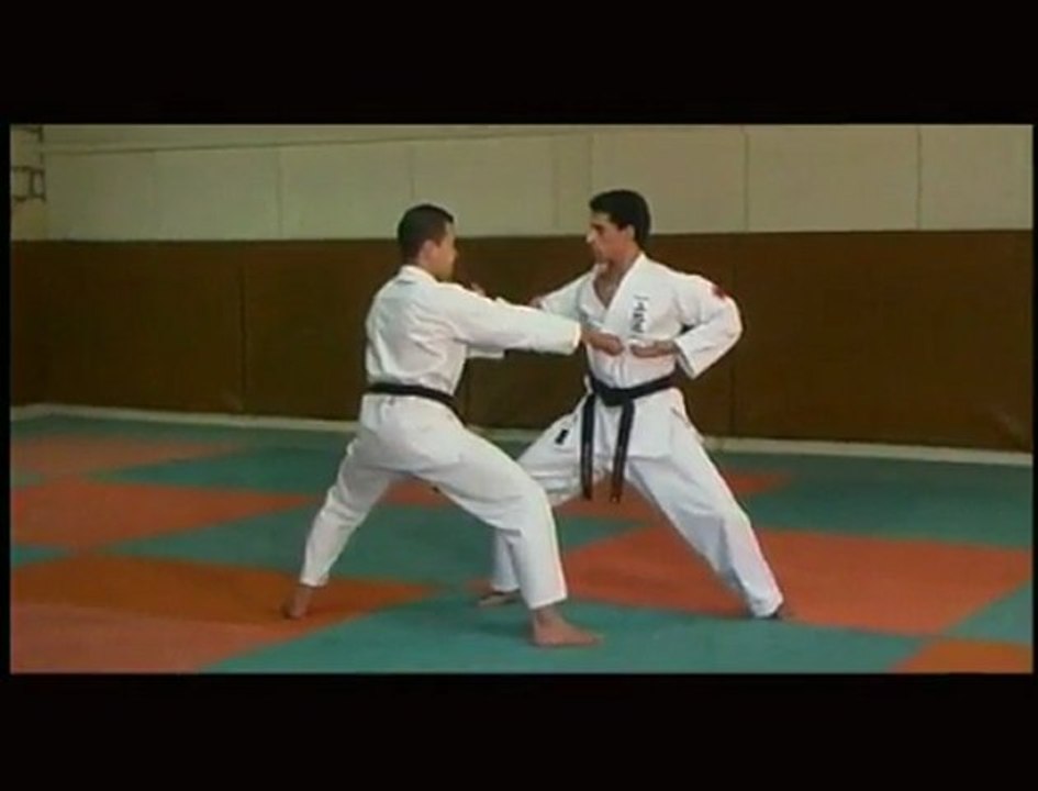 Uechi-ryu karate - Techniques - Vidéo Dailymotion