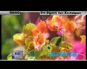 Πήλιο και Βόλος