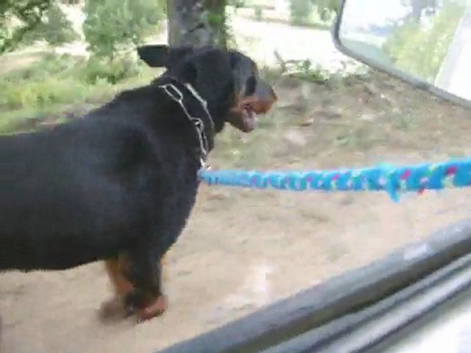 Chiqui et Fuertès, les 2 sportives!