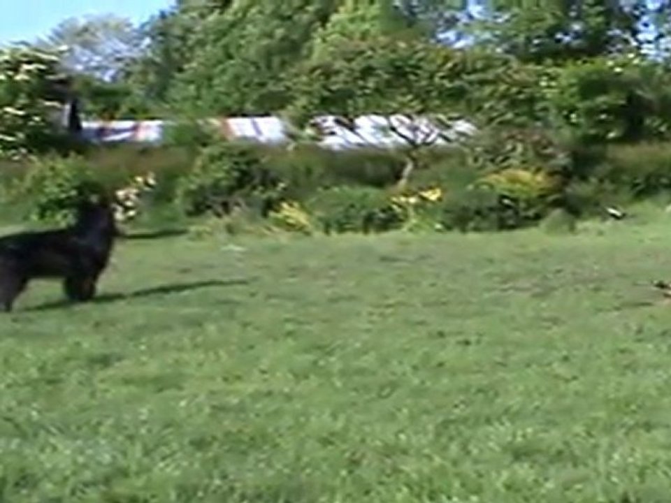 Comment se prendre une veste !!!