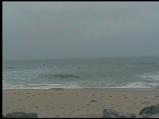 Début de saison 2011 Partie 1