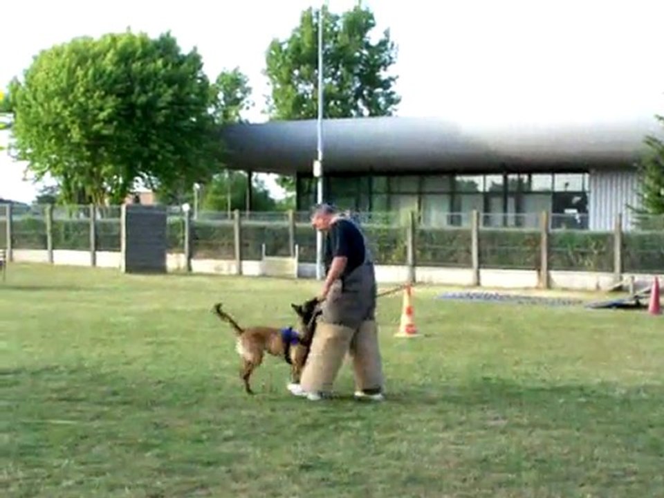 recherche FIDJI 9 mois