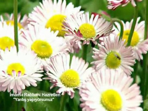 Yanlış yapıyorsunuz( İmâm-ı Rabbani hazretleri) Kuddise Sirruh