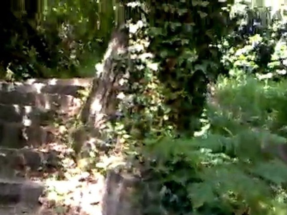 Séances Escaliers 2