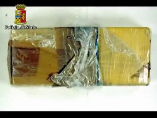 Modena - 19 cittadini magrebini arrestati