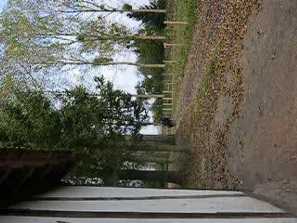 DSCN2507