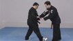American Kenpo Karate - Techniques pour débutant