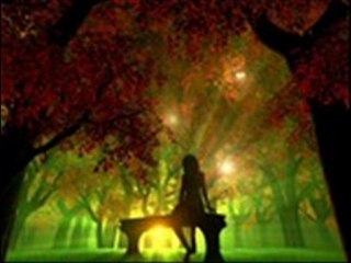 bariş torun. aklın bittiği yerde