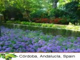 Holiday Rentals Andalucia | Cordoba, Andalucia, Spain