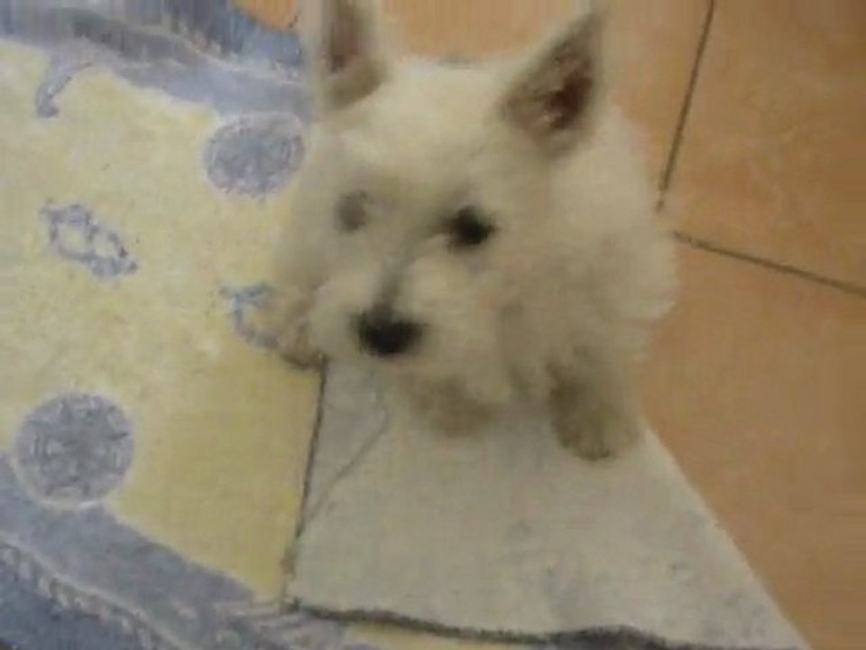 Gommette 20.05.11
