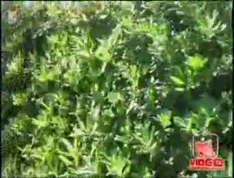 Giugliano (NA) - Sequestrato complesso turistico abusivo