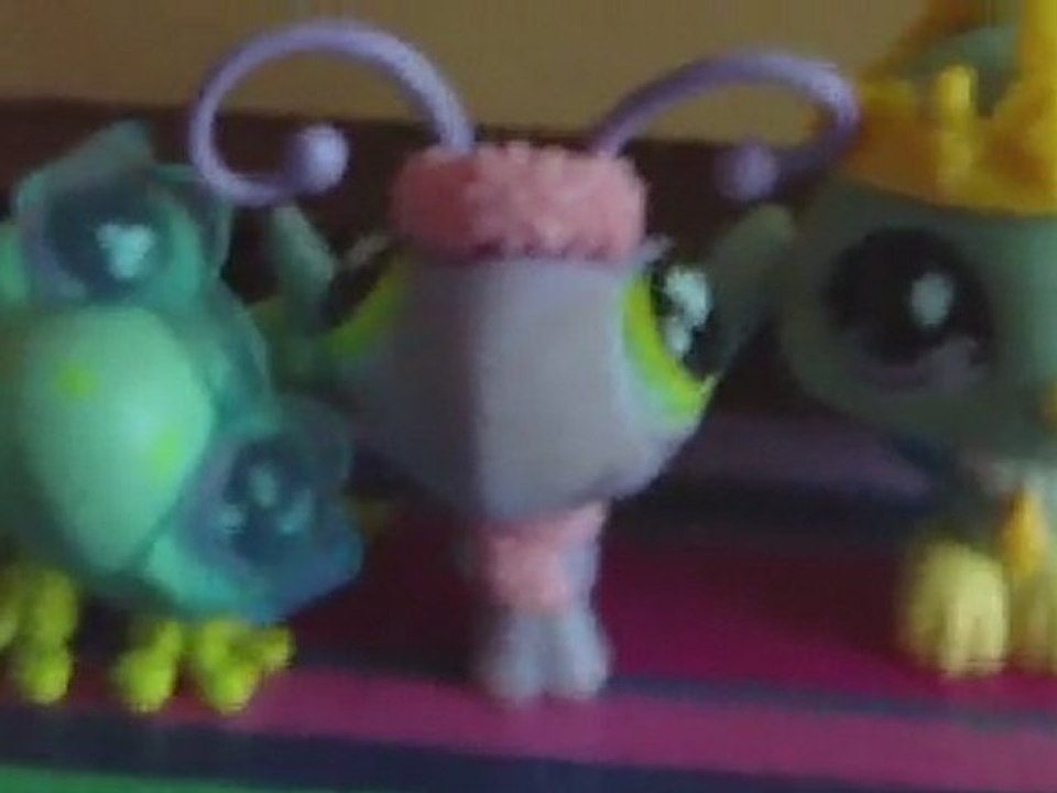 partie 2 Miss PetShop Mai 2011