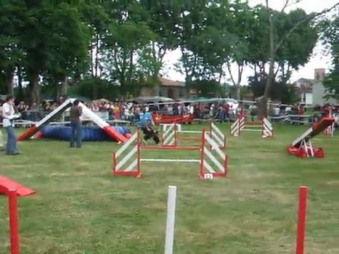 Cayenne Agility 2 Trophée par equipe 2011
