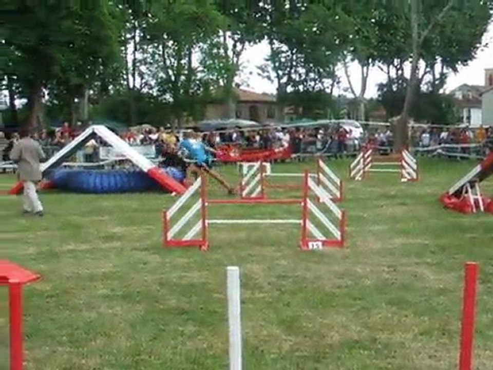 Tao Agility 2 Trophée par equipe 2011