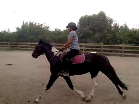 galop a droite longe