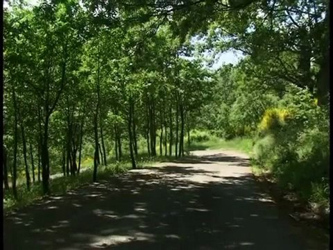 Terranova del Pollino - Tutti al Parco
