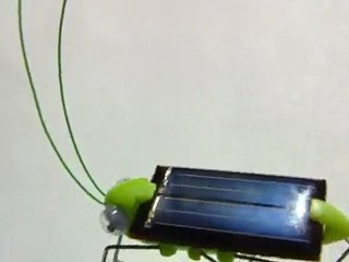 Güneş enerjili çekirge robot